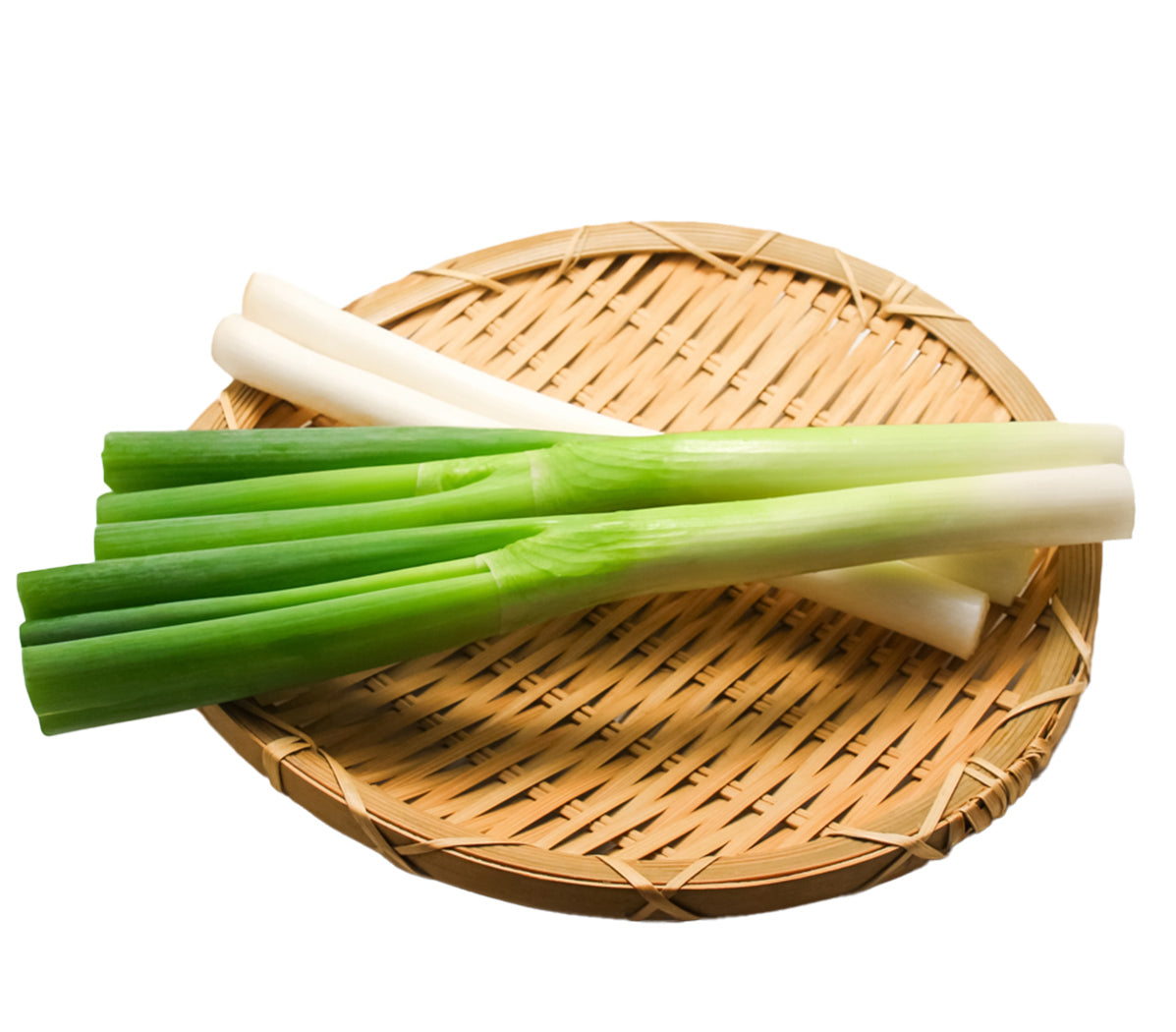 ふっくらねぎ5kg 送料込み